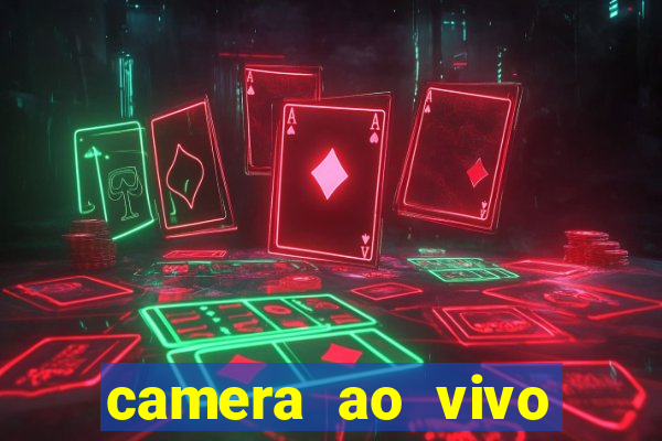 camera ao vivo terminal vila nova cachoeirinha