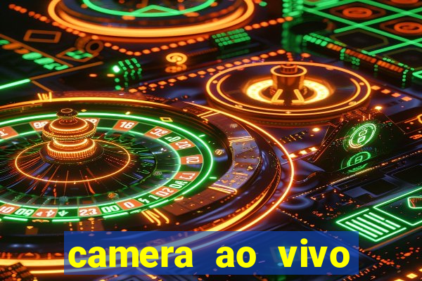 camera ao vivo terminal vila nova cachoeirinha