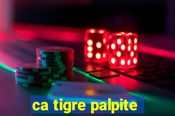 ca tigre palpite