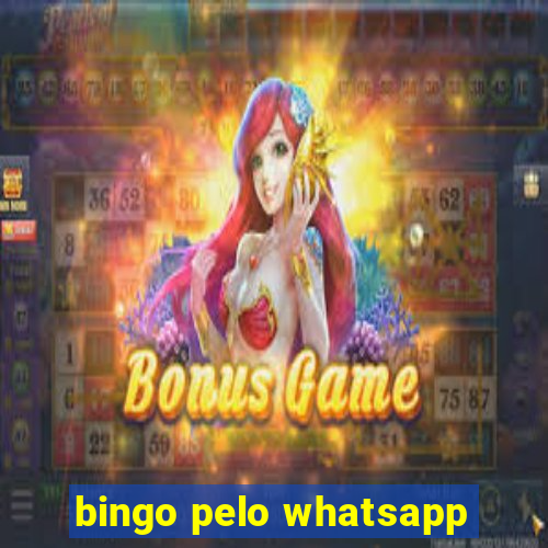 bingo pelo whatsapp