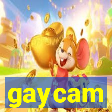 gaycam