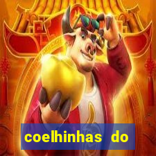 coelhinhas do brasil recife