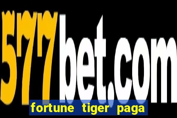 fortune tiger paga de madrugada