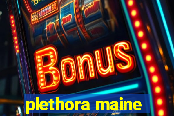 plethora maine