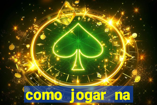 como jogar na seninha online