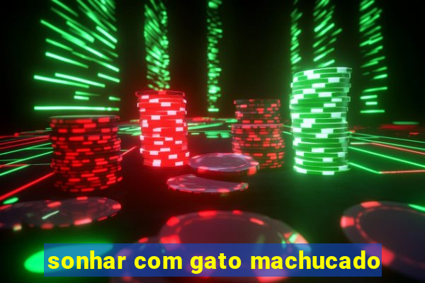 sonhar com gato machucado