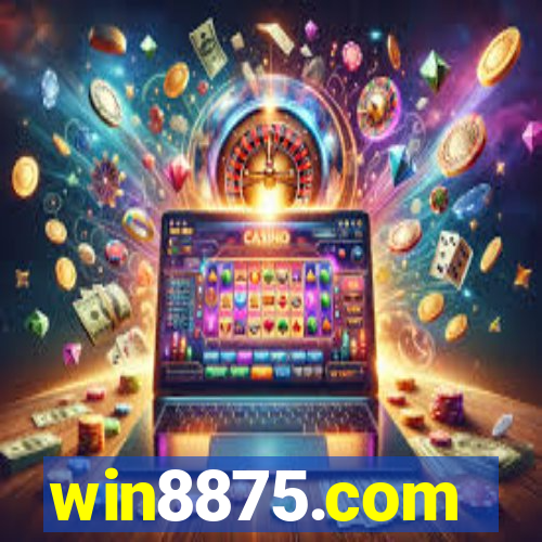 win8875.com