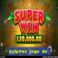 palpites jogo do bicho hoje