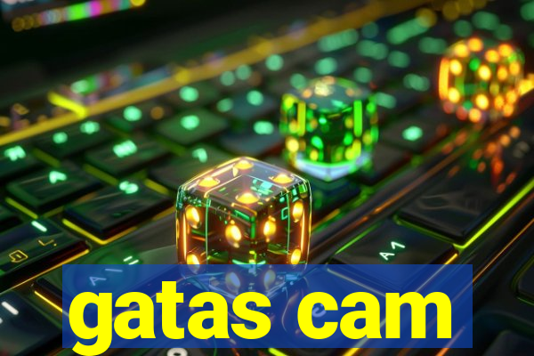 gatas cam