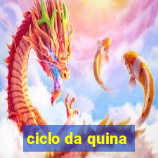 ciclo da quina