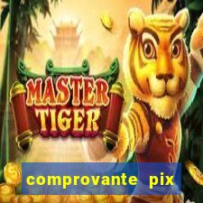 comprovante pix fake meme