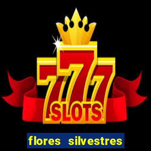 flores silvestres desbravadores desbravadores 25 flores silvestres e seus nomes