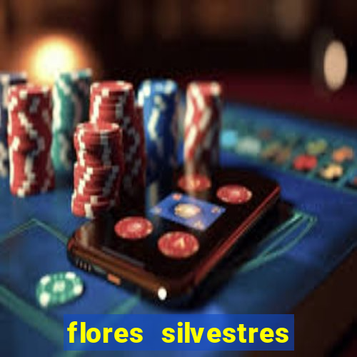 flores silvestres desbravadores desbravadores 25 flores silvestres e seus nomes