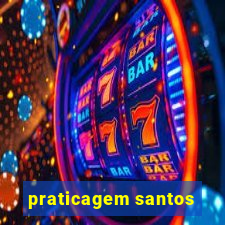 praticagem santos