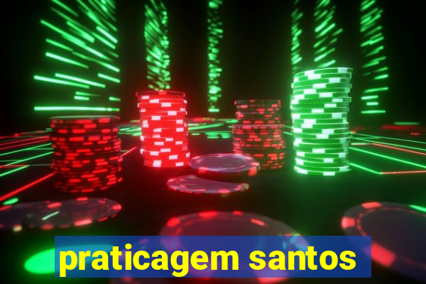 praticagem santos