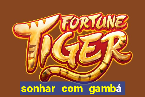 sonhar com gambá jogo do bicho