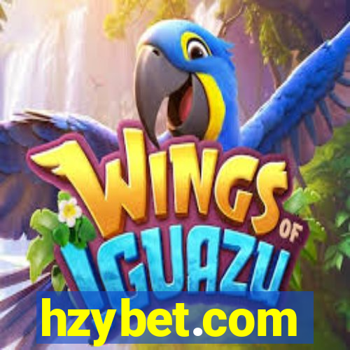 hzybet.com