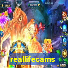 reallifecams