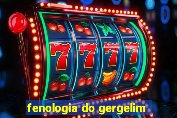 fenologia do gergelim