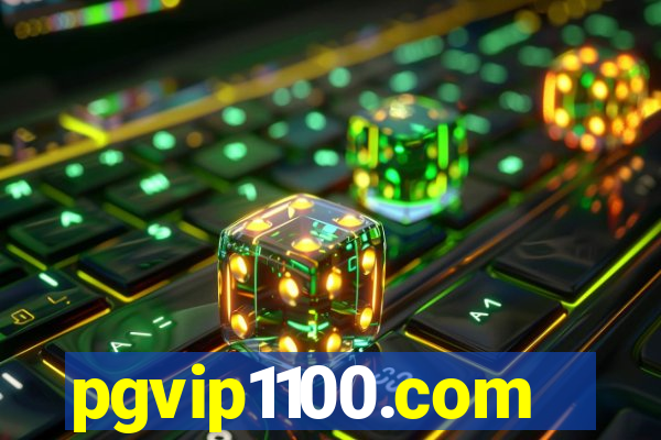 pgvip1100.com