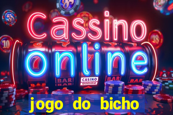 jogo do bicho crash bingo