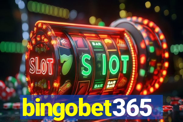 bingobet365