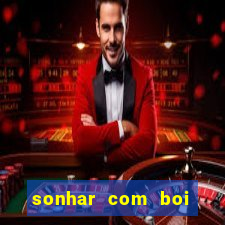 sonhar com boi branco jogo do bicho