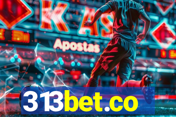 313bet.co