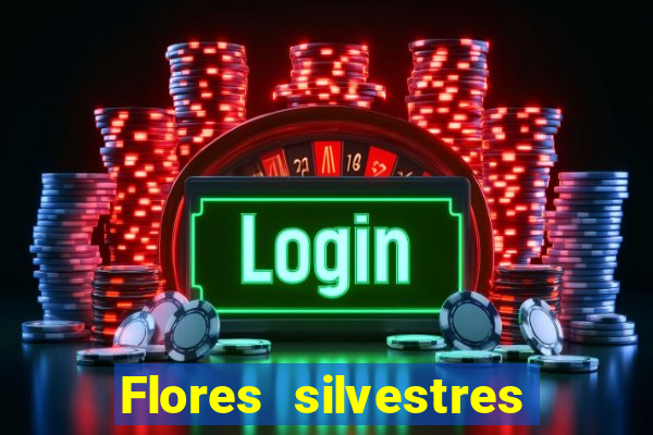 Flores silvestres brasileiras brasileiras flores silvestres nomes e imagens