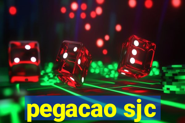 pegacao sjc