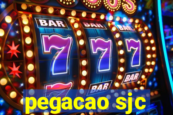 pegacao sjc