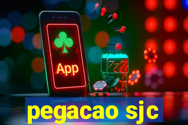 pegacao sjc