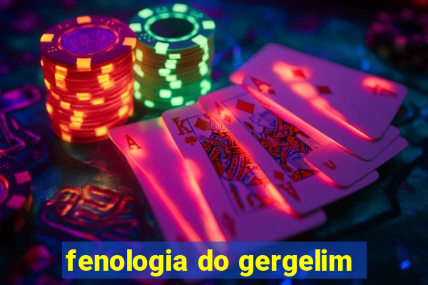 fenologia do gergelim