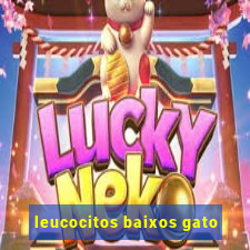 leucocitos baixos gato